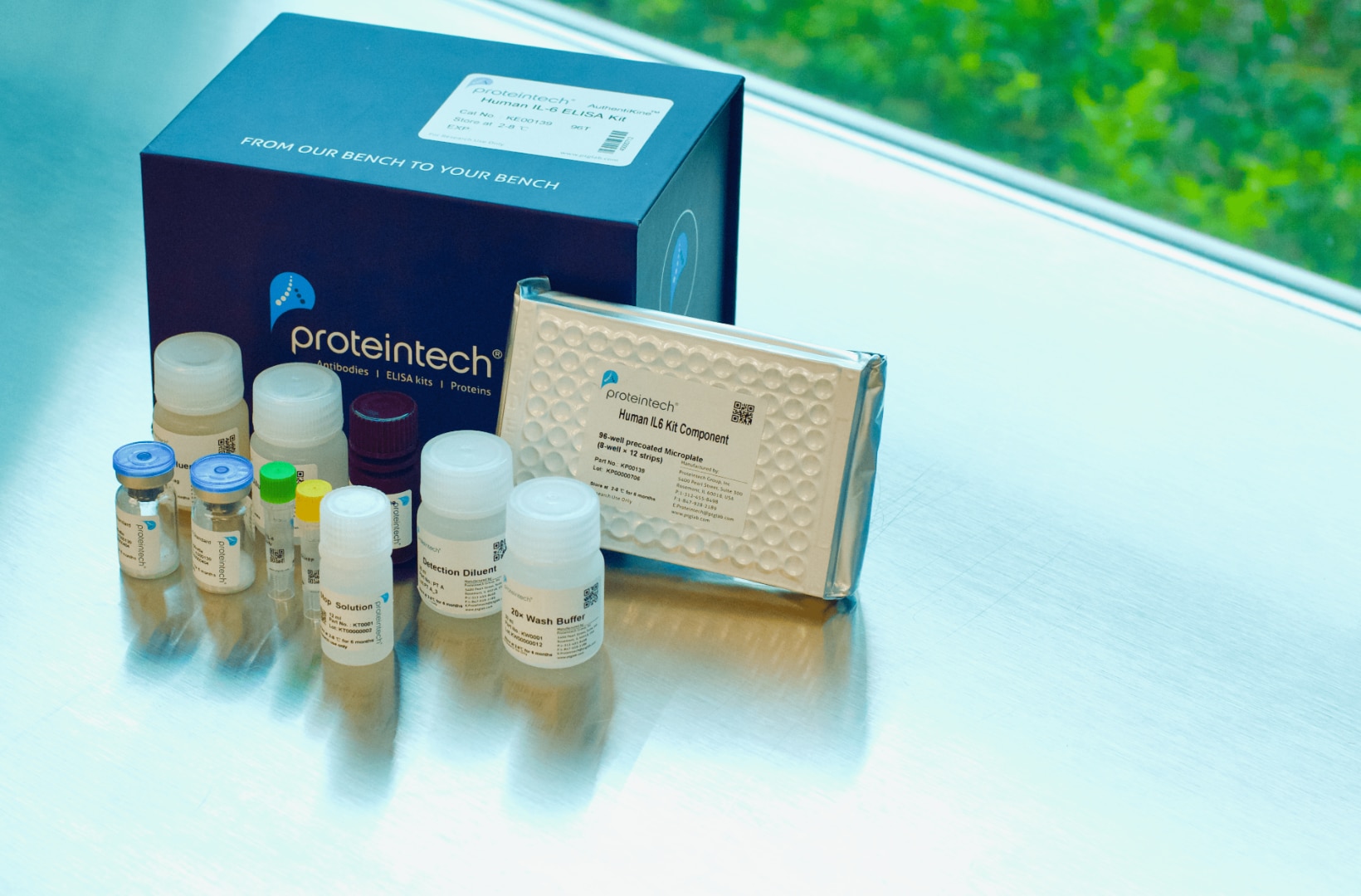 ELISA Kits