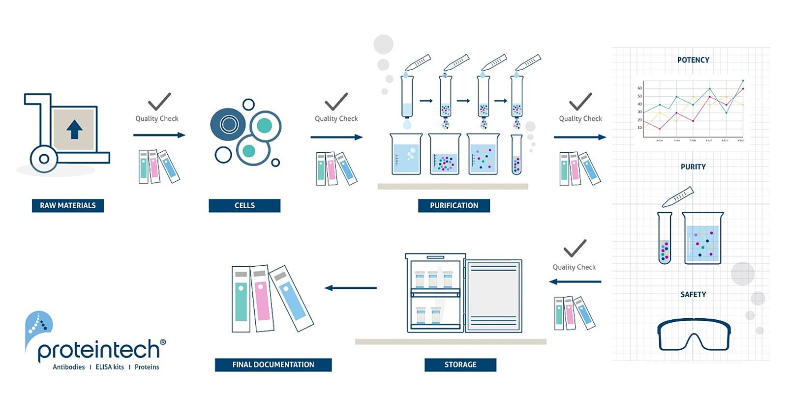 GMP grade cytokines and growth factors from Proteintech