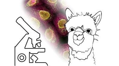 Microscope_Alpaca_Nano-Secondaries-IF_Blog